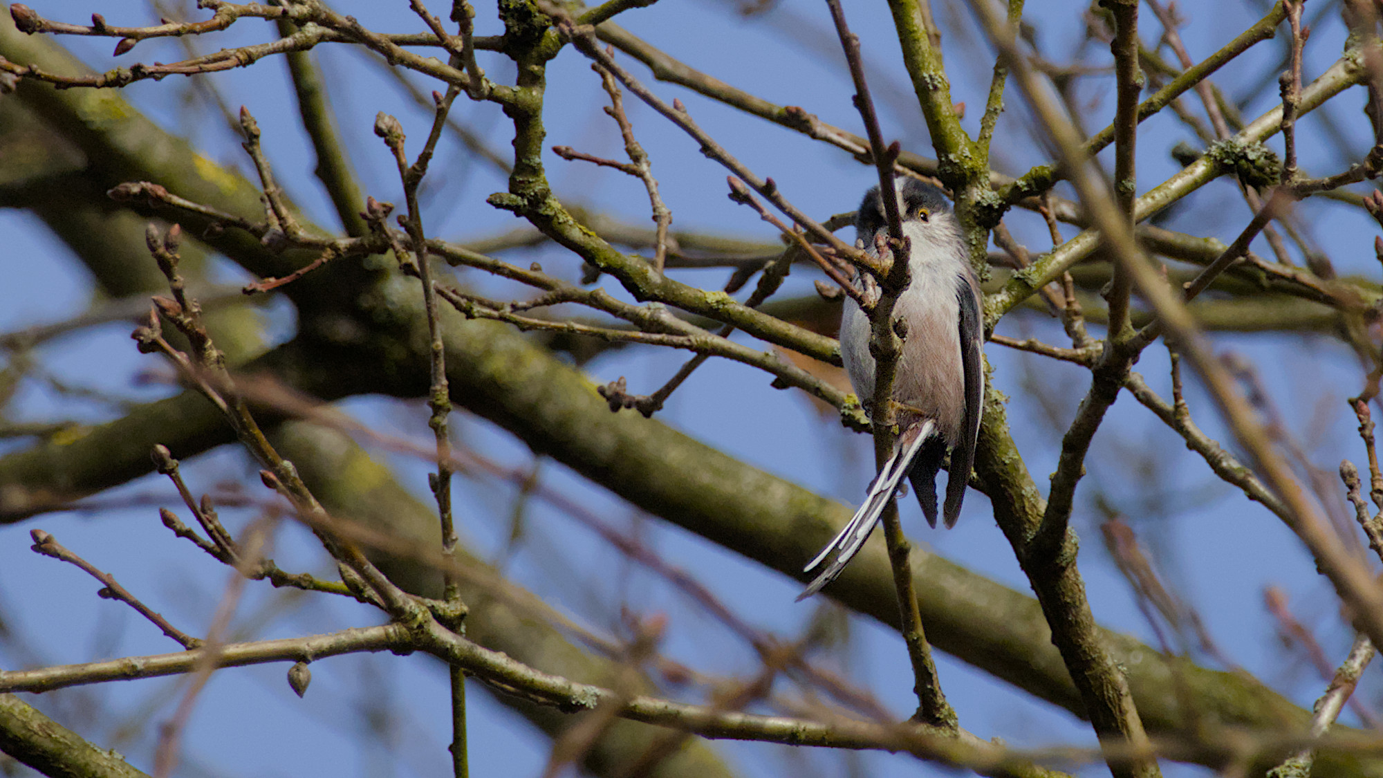 Ich sehe Dich genau!